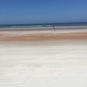 Meet your Posher, Alyce